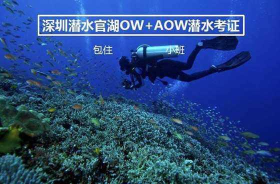 新疆温宿紧盯送礼新手段 识破“隔空操作”守好年关（严管干部落实处）