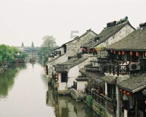 拯救穆尔小马